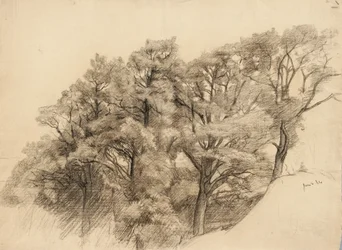 Maisema puineen, 1884 (hiili härskille paperille)