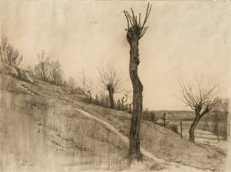 Myöhäinen talvimaisema, 1884 (hiili kiiltävälle paperille)