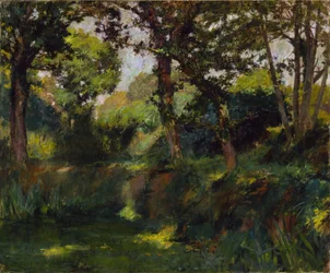 Metsäinen maisema, 1800-luvun loppu - 1900-luvun alku.