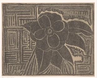 Camellia (musta; sokkelomainen kuvio)