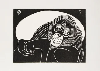 Orangutangi