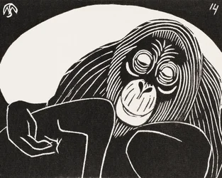 Orangutangi
