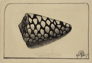 Kuori, oikealle