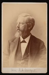 Aaron Augustus Sargentin muotokuva 1827-1887, 1876-1880.