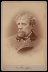 Tohtori Buckleyn muotokuva, 1878.