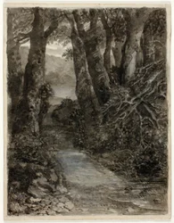 Metsämaatutkimus