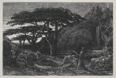 Cypress Grove
