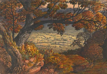 Kentin Weald