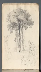 Luonnoskirja: Puututkimus, 1814.