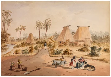 Homestead, Savu Bay, Fidži, 1870