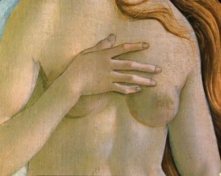 Die Geburt der Venus