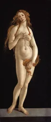 Saksa: Venus Venus