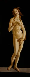 Venus Pudica, noin 1485-1490.