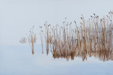 Winter Reeds, 2016 (akryyli kankaalle)