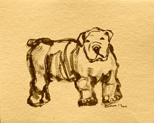 Ilmeikäs bulldoggiluonnos