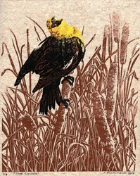 Cattail Cantata, 2017 (Linoleikkaus)