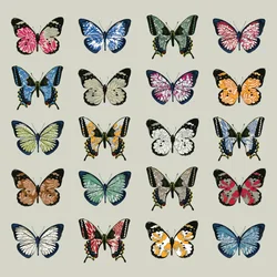 Papillon, 2008 (digitaalinen)
