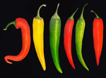 Viisi chiliä, 2024 (öljy kankaalle)
