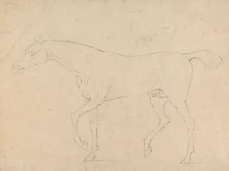 Hevonen
