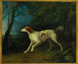 Ruskeavalkoinen setteri metsäisessä maisemassa, 1773