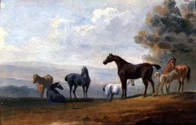 Hevoset (öljy paneelissa)