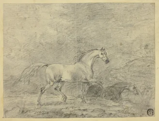 Hevoset