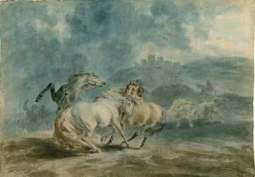 Horses Fighting (wc grafiitin päällä raskaan tekstuuripaperin päällä)