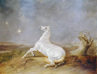 Hullu hevonen