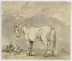 Pysyvä hevonen pää käännettynä