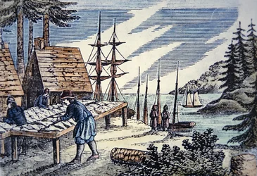 Kalastajat kuivaamassa turskaa Uudessa Englannissa, 1600-luvun puupiirroksesta (värilitho)