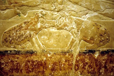Muinainen Egypti, seinäkaiverrukset/maalaukset, Mastaba/Tomb of Idout, Saqqara, 6. dynastia, Kaksi virtahepoa taistelemassa (kuva)
