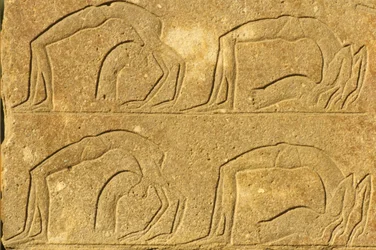 Muinainen Egypti, seinämaalaus/kaiverrus, Naisakrobaatit esiintymässä, Karnakin temppeli, Luxor (kuva)