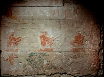 Muinainen Egypti: kalkkikivireliefi, joka kuvaa kirjanoppineita Mastaban kappelista Akhethetepissä, noin 2300 eaa. 5. dynastia. Vanha valtakunta. Sakkarasta (Sakkara). Pariisi, Louvre-museo