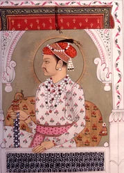 Miniatyyrimaalaus kuningas, Rajasthan, Intia