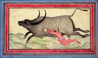 Runaway Buffalo, Johnson Album XIV, no.11, verso, n.1700 (värillinen piirros albumin lehdellä)