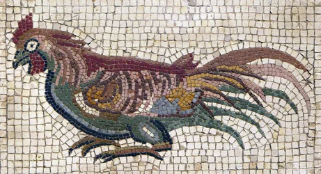 Monivärinen kukko roomalaisen huvilan maasta Tunisiassa (mosaiikki).