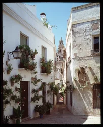 Näkymä Omayyadesin suuren moskeijan (Mezquita) minareetille (kellotornille), nykyinen katedraali, Calle de los floresista””, Cordoba Spain”” (Näkymä Cordoban moskeijan kellotornista tai minareetista Cathedral (suuri moskeija) kadulta "" calle de los flores
