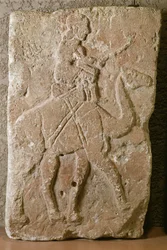 Helpotus Dromedary Riderin kanssa