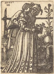 Lady ja Hullu