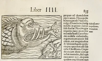 Hirviömäinen valas, joka syö ihmisiä, vuodelta 1550, Sebastian Munsterin Cosmographia (puupiirros)