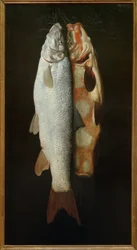 Kala asetelma
