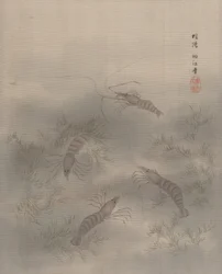 Shrimp AB, Ca. 1890-92.