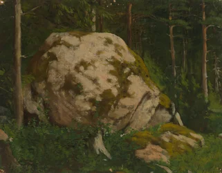 Kivi