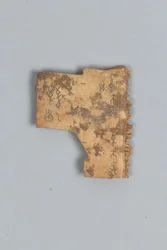 Taisteluluun fragmentti (kuori)