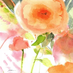 Pehmeät persikkakukat
