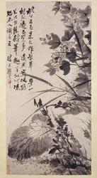 Hibiscus, Lotus ja Rock, n. 1705-7.