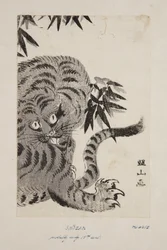 Tiger (värillinen puupalikkaprintti)