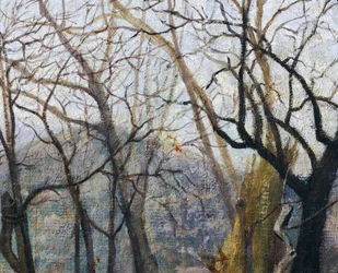 Silvestro Legan vierailu, yksityiskohta