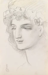 Tutkimus seppelepäästä, 1867