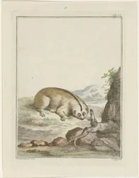 Laiskiainen